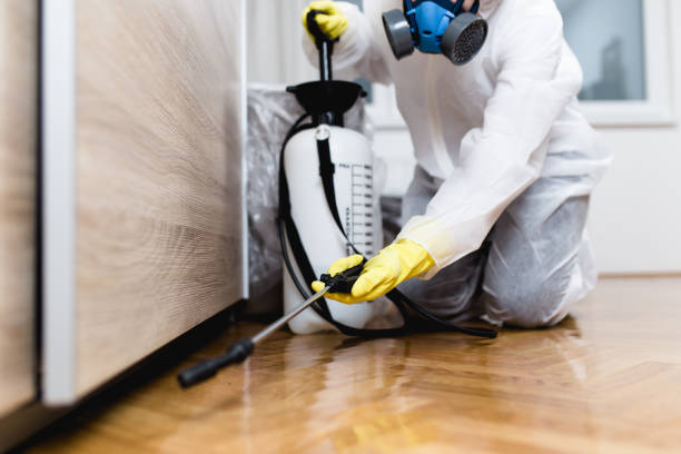 Wildlife Control Services in Dumont, NJ