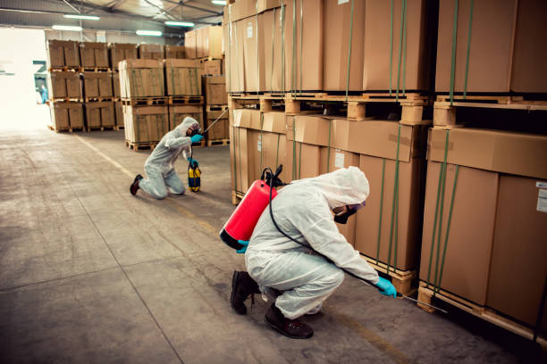 Best Local Pest Control Services  in Dumont, NJ
