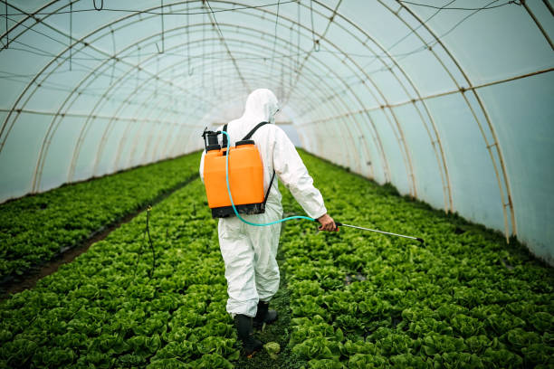Best Affordable Pest Control Services  in Dumont, NJ