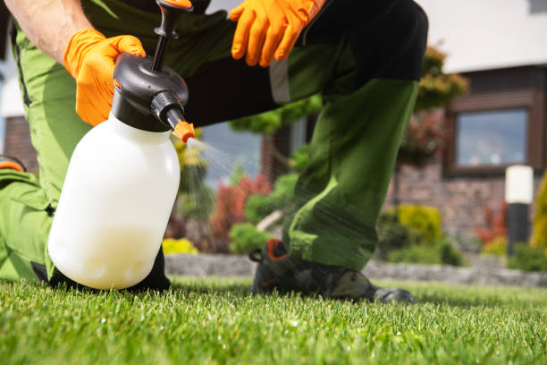 Best Cockroach Control Services  in Dumont, NJ