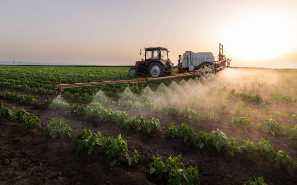 Best Commercial Pest Control Services  in Dumont, NJ