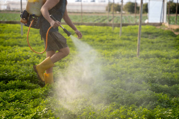 Best Pest Removal Services  in Dumont, NJ