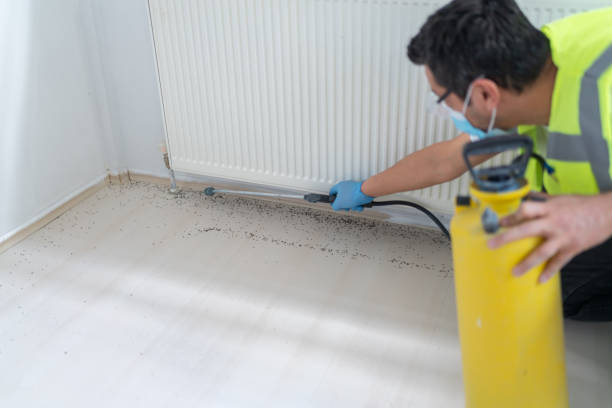 Best Ant Control Services  in Dumont, NJ